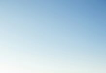 대구광역시, ‘조상 땅 찾기’ 서비스 시민들 큰 호응