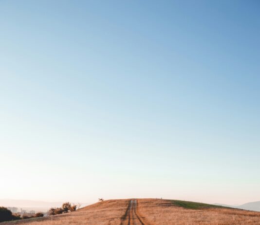 대구광역시, ‘조상 땅 찾기’ 서비스 시민들 큰 호응