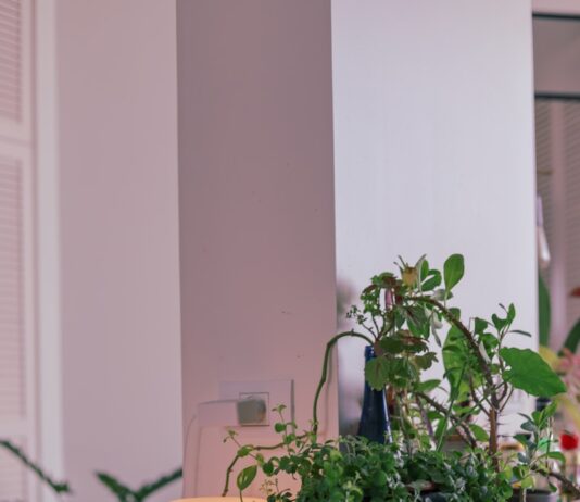 건강한 겨울을 위한 실내 환경 개선 방법 green plant on blue ceramic pot