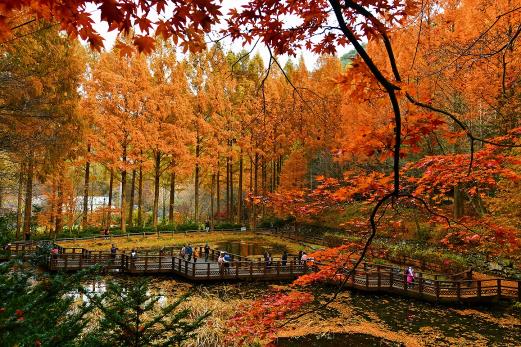 장태산 자연휴양림 한국관광 100선 선정