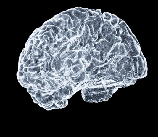 “뇌 건강 시대, 우리 일상에서 실천하는 똑똑한 루틴은?” a close up of a human brain on a black background